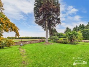 Garden- click for photo gallery